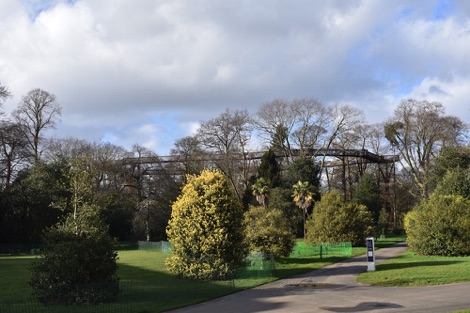 Kew Gardens Treetop Walkway